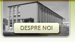 Despre Noi